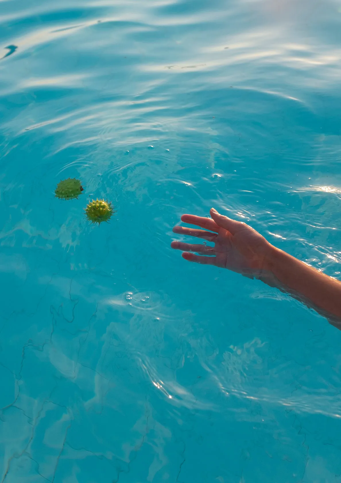 Beach dream / hand with tropic fruits in swimming pool