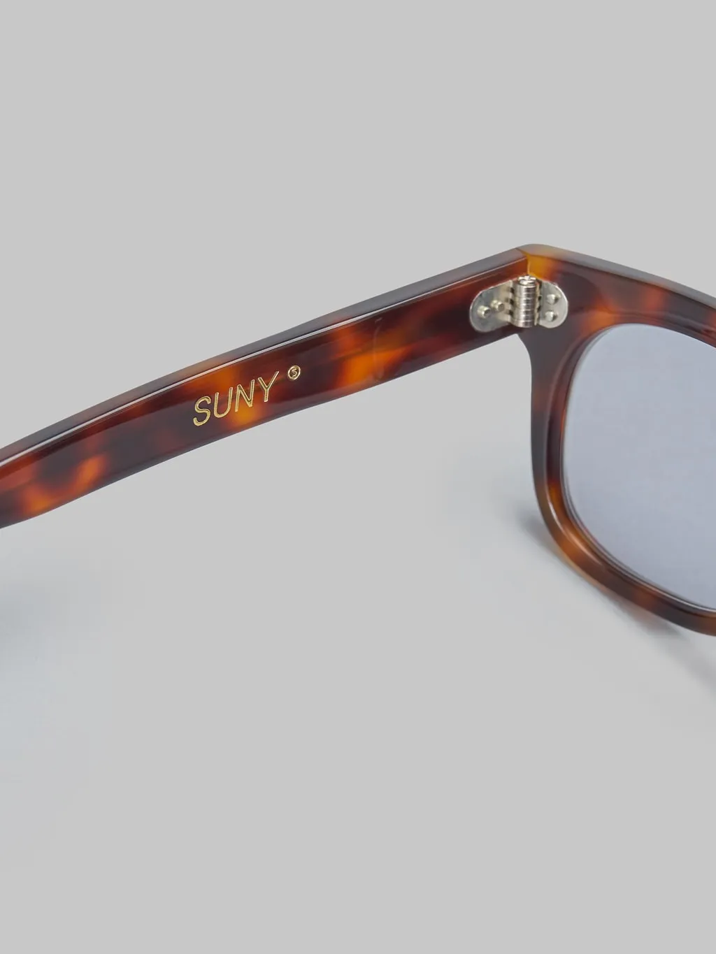 Buddy Optical Suny Glasses Brown Tort/Smoke