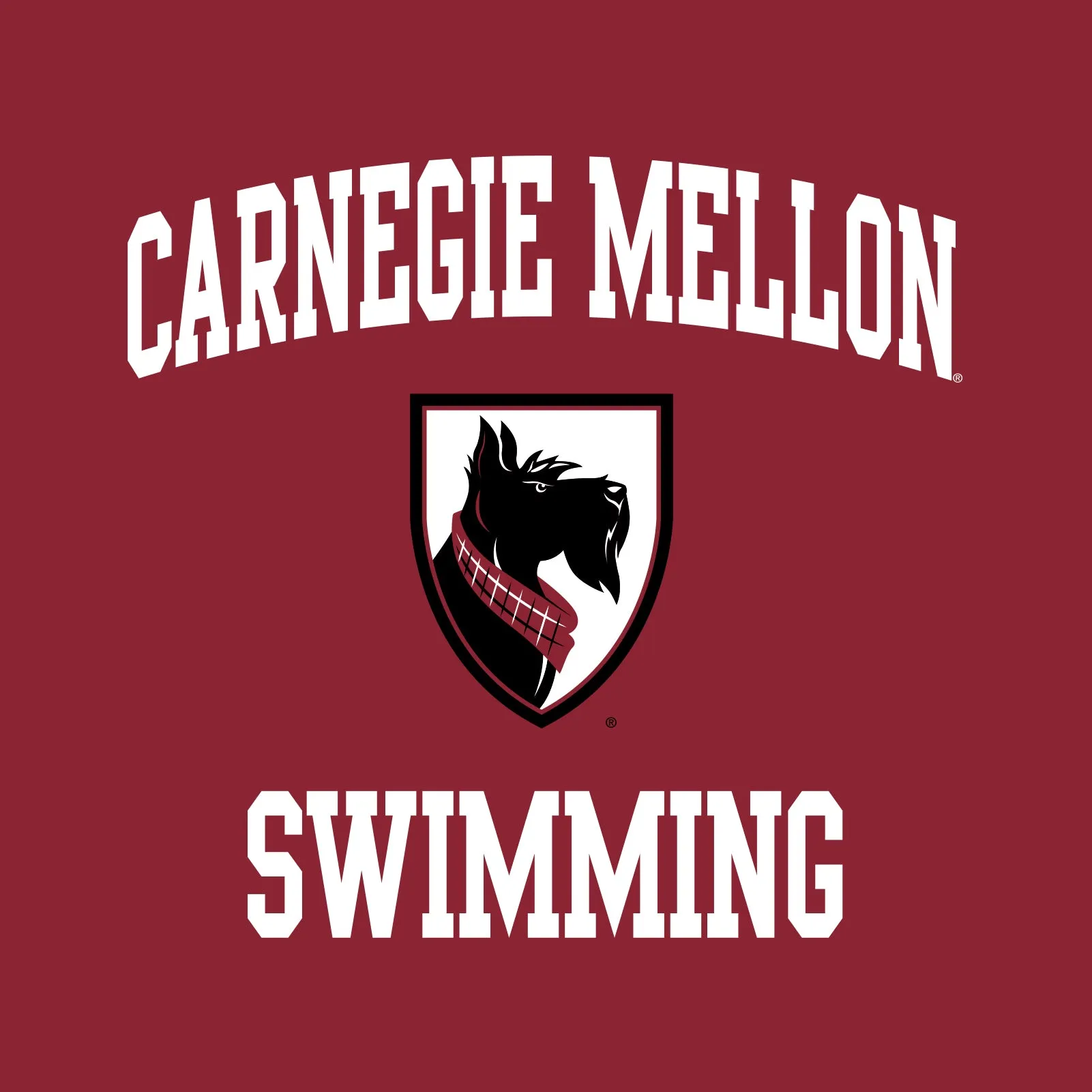 Carnegie Mellon University Tartans Arch Logo Swimming Short Sleeve T Shirt - Cardinal