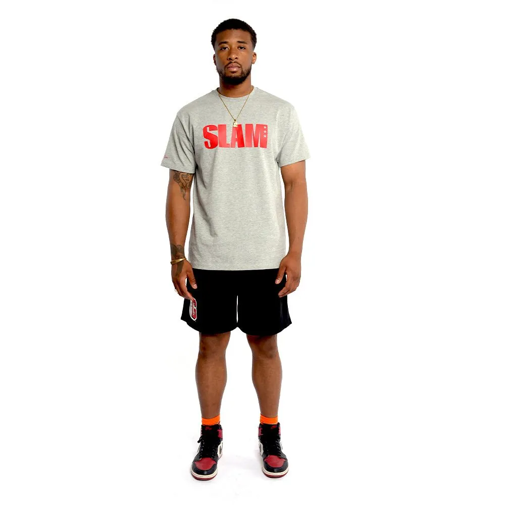 Georgia Bulldogs Retro Practice Shorts