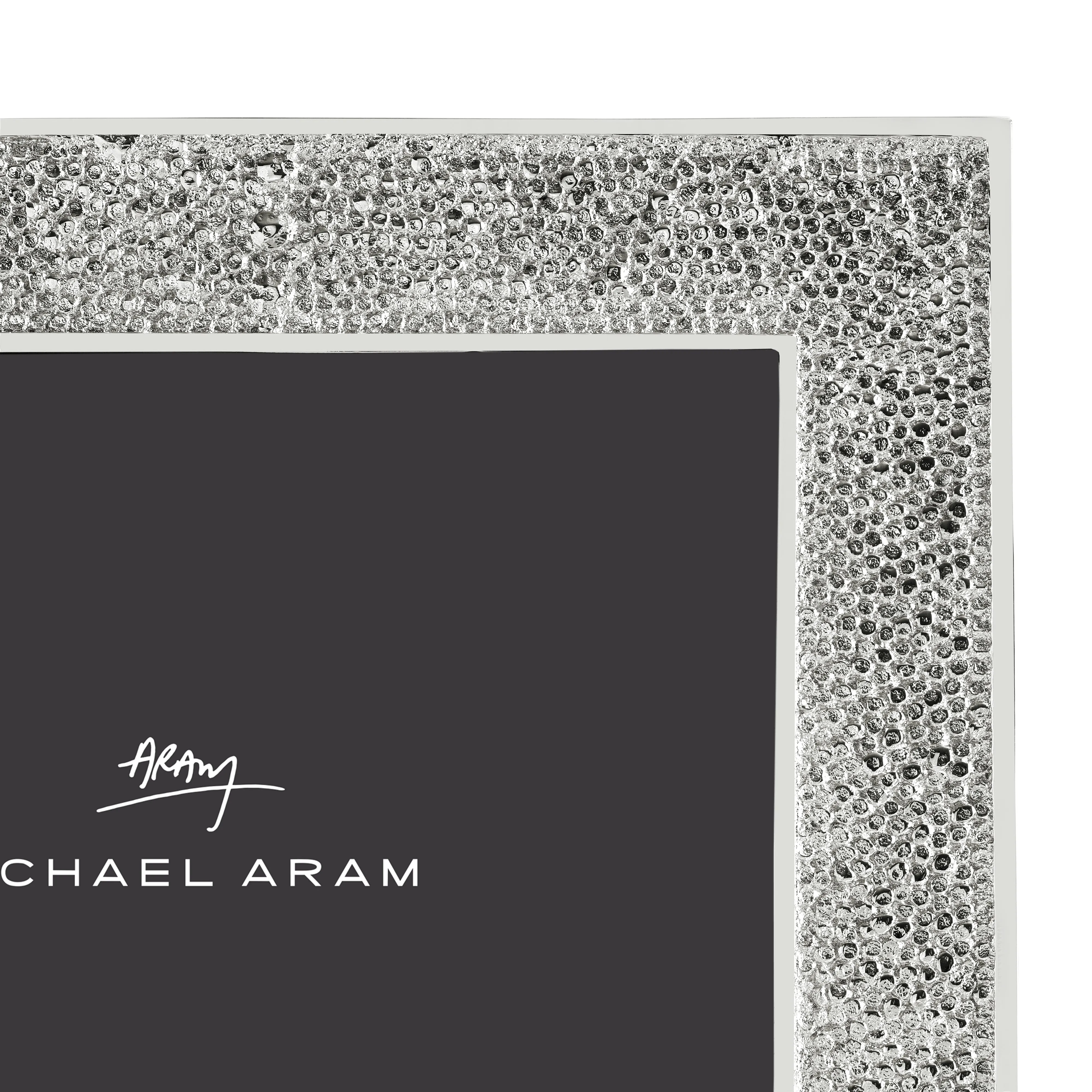 Shagreen Frame