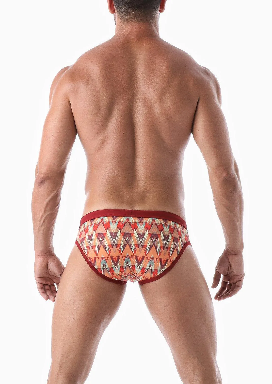 SWIMMING BRIEFS 2028s2