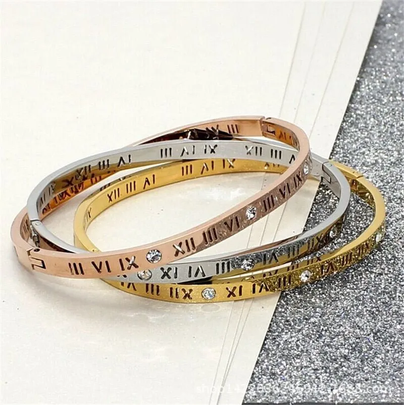 Titanium Steel Bangles